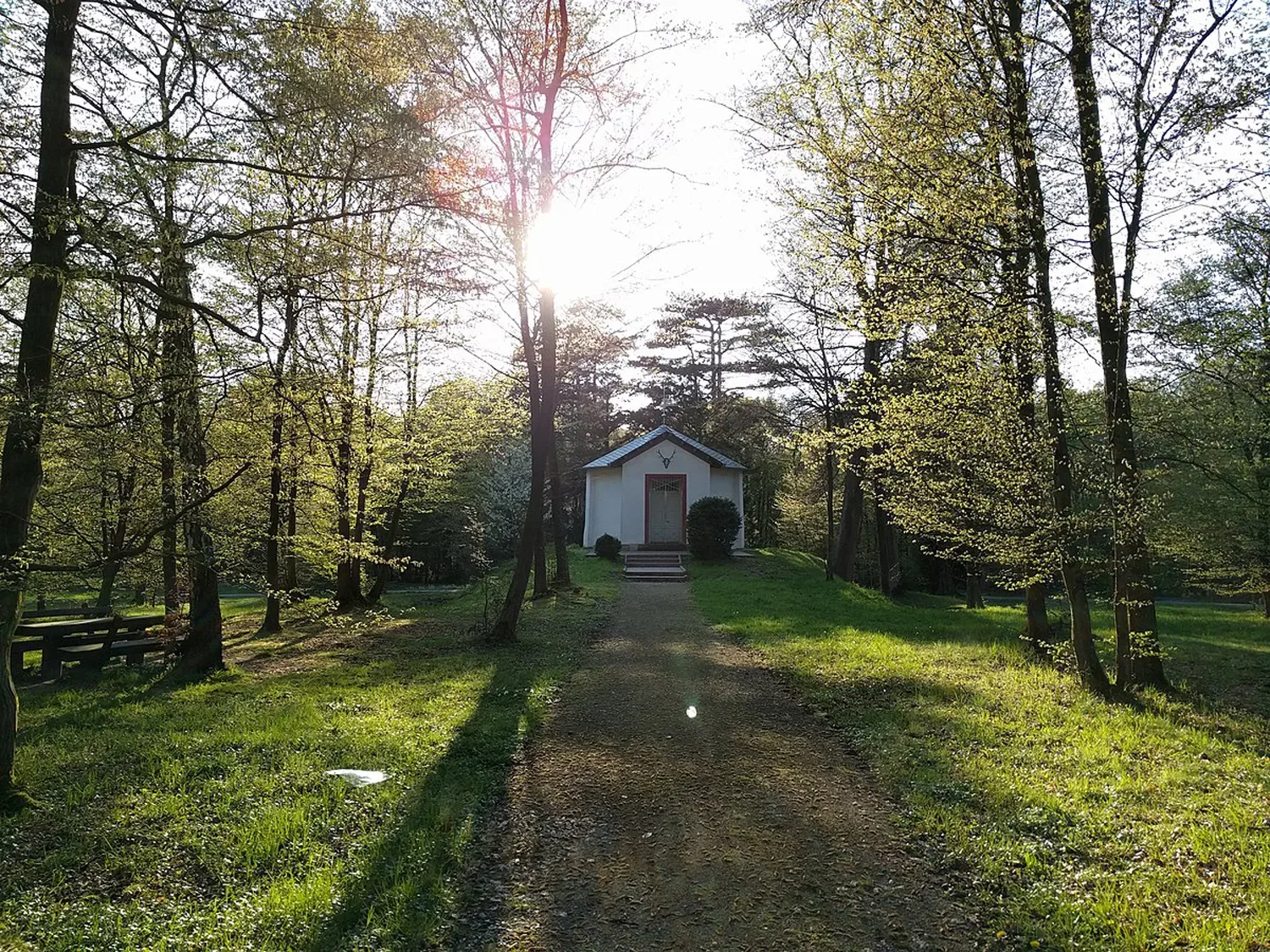 Die Dianaburg in Darmstadt, ein kleines, weißes Jagdschloss, das von hohen, grünen Bäumen umgeben ist und einen friedlichen Waldweg entlang führt.