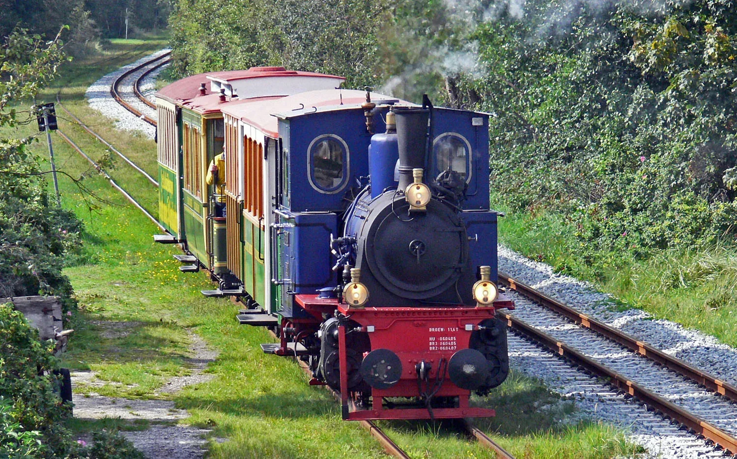 Eine bunte Schmalspurbahn fährt auf einer eingleisigen Strecke durch eine grüne Landschaft auf Borkum, mit Dampf, der aus der kleinen Lokomotive aufsteigt.