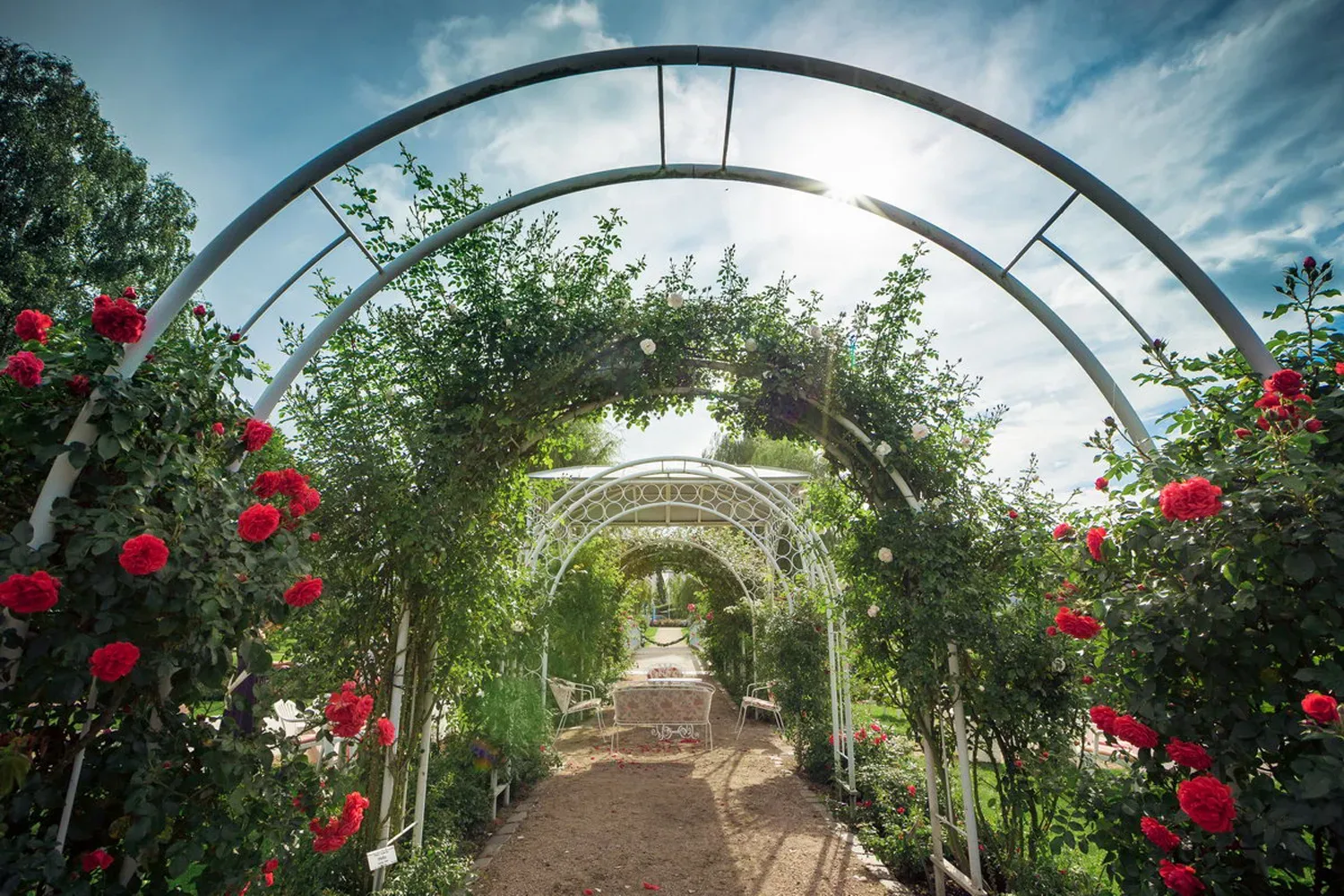 Rosarium Uetersen, Standesamt Uetersen, heiraten im Norden, standesamtlich heiraten in der Nähe von Hamburg