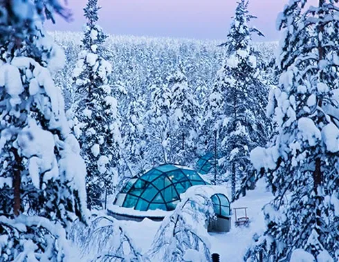 Ein Glas-Iglu inmitten eines schneebedeckten Waldes bei Dämmerung, umgeben von verschneiten Bäumen – ein idyllischer Ort für den Winterurlaub.