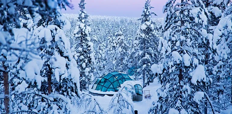 Ein Glas-Iglu inmitten eines schneebedeckten Waldes bei Dämmerung, umgeben von verschneiten Bäumen – ein idyllischer Ort für den Winterurlaub.