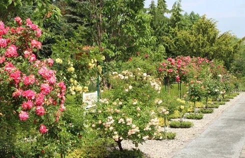 Naturhochzeit, Hochzeit im Grünen, Green Wedding, Standesamtliche Trauung, Trauung am Meer, Standesamt an der Küste, heiraten an der Küste, Hochzeitslocation, Hochzeit und Standesamt, Hochzeit am Meer