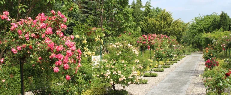 Naturhochzeit, Hochzeit im Grünen, Green Wedding, Standesamtliche Trauung, Trauung am Meer, Standesamt an der Küste, heiraten an der Küste, Hochzeitslocation, Hochzeit und Standesamt, Hochzeit am Meer