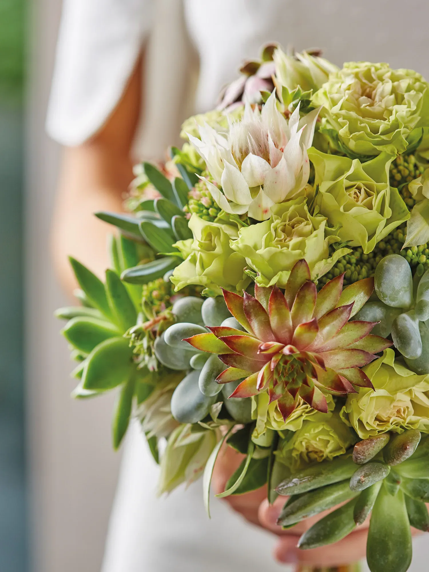 Nahaufnahme eines Hochzeitsstraußes aus grünen Sukkulenten und weißen Blumen, gehalten von einer Braut in einem weißen Kleid.