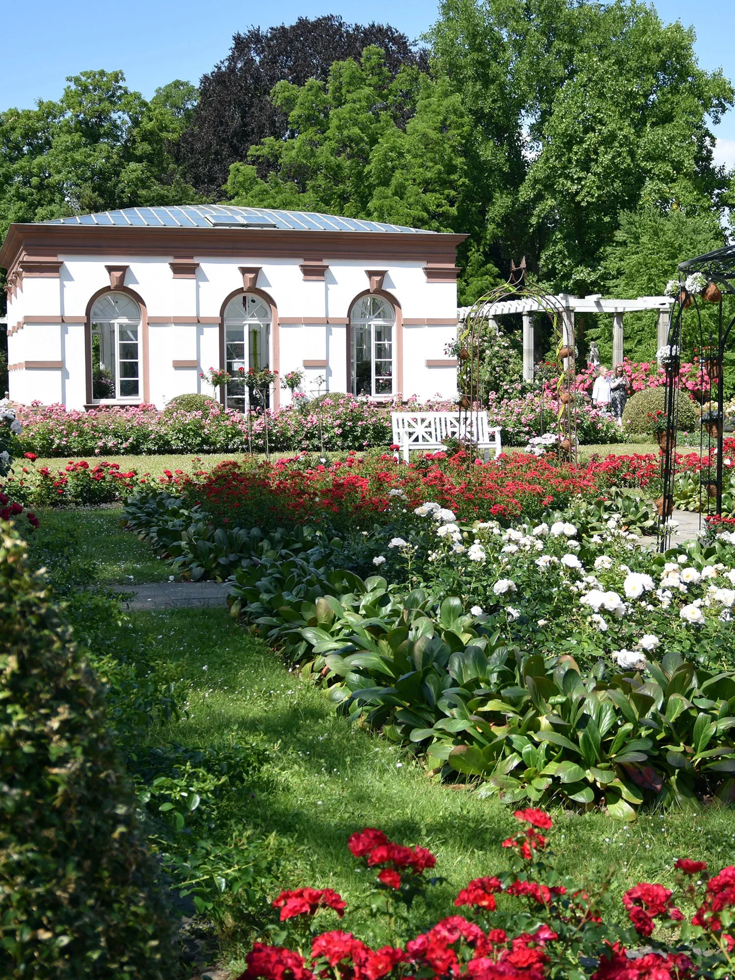 Ein elegantes, weißes Gartenhaus mit rosafarbenen Akzenten, umgeben von blühenden Rosen und gepflegten Gärten, mit einer üppigen Grünanlage im Hintergrund, die Ruhe und Harmonie ausstrahlt.