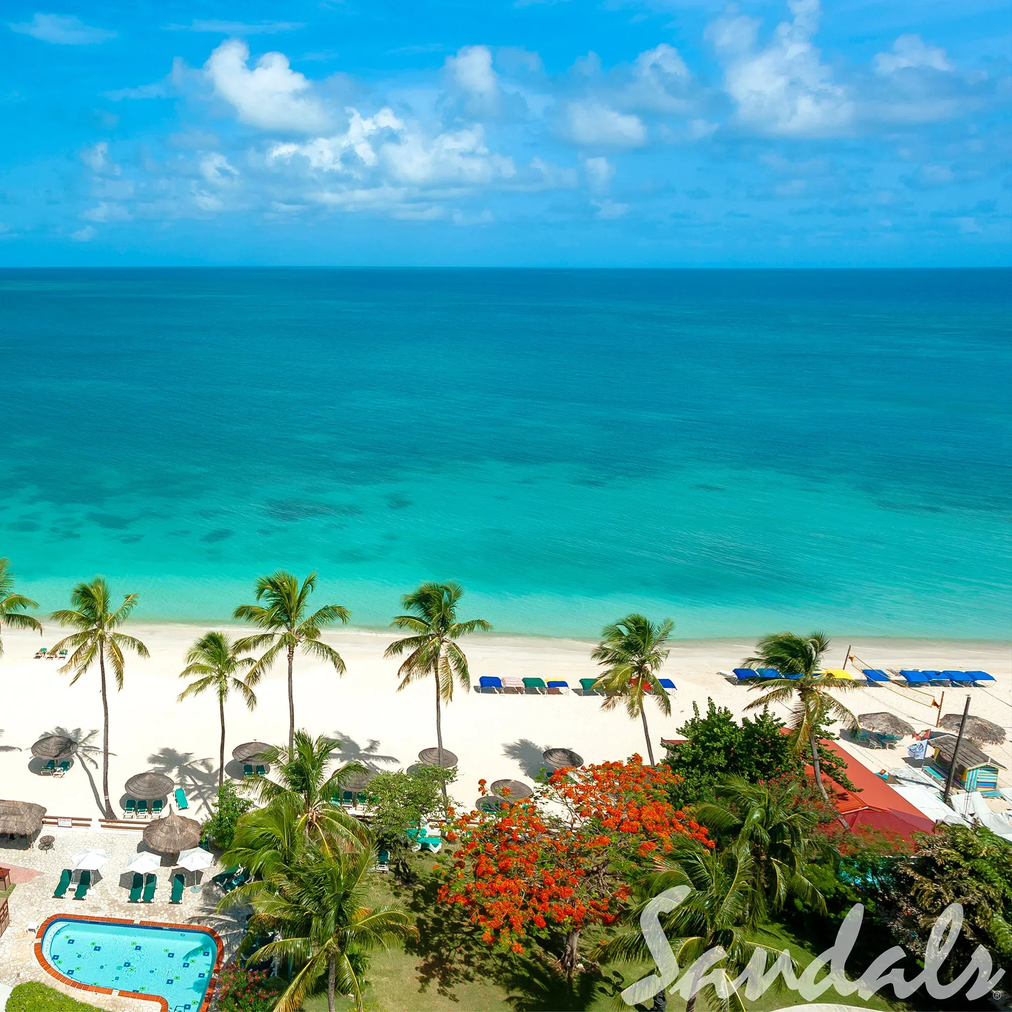 Ein tropischer Strand auf Antigua mit weißem Sand und türkisblauem Wasser. Palmen säumen den Rand des Strandes, und im Vordergrund sind Sonnenschirme und Liegestühle zu sehen. Der Himmel ist klar und sonnig.