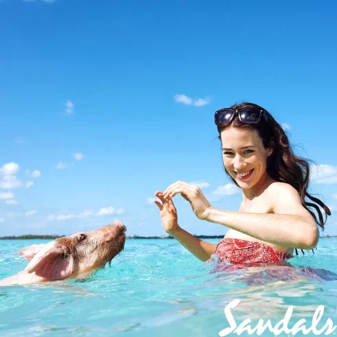 Eine Frau im roten Bikini steht lachend im türkisfarbenen Wasser der Bahamas und spielt mit einem schwimmenden Schwein. Der Himmel ist klar und strahlend blau, während die Frau Sonnenbrillen auf dem Kopf trägt.