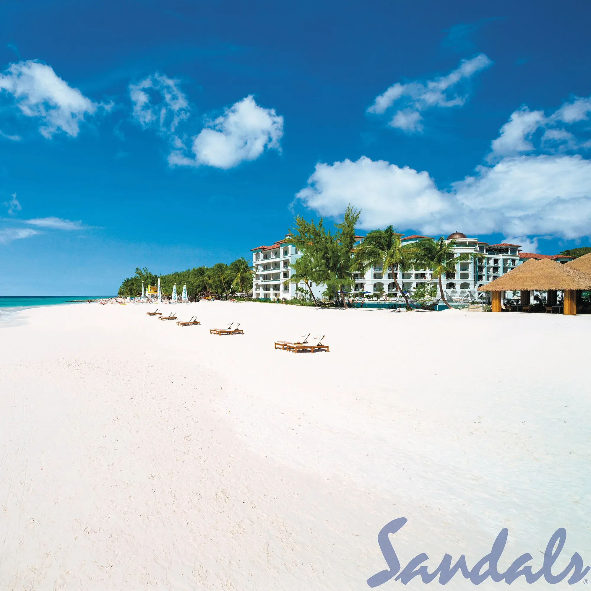 Ein weitläufiger, weißer Sandstrand auf Barbados, gesäumt von Liegestühlen, Palmen und einem luxuriösen Hotel im Hintergrund. Der strahlend blaue Himmel und das klare Meer verleihen der Szene eine ruhige Urlaubsatmosphäre.