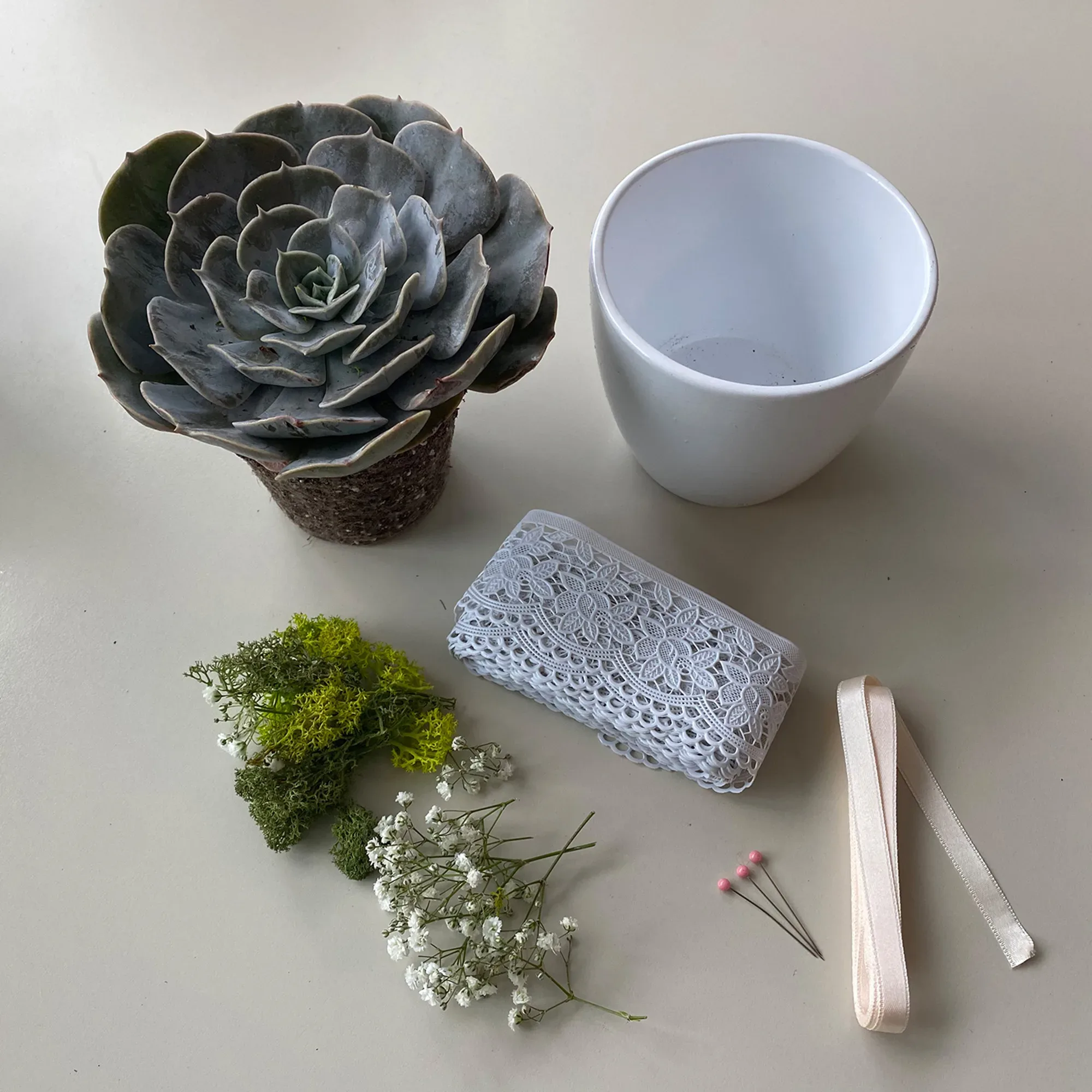 DIY Ringpräsentation Sukkulente