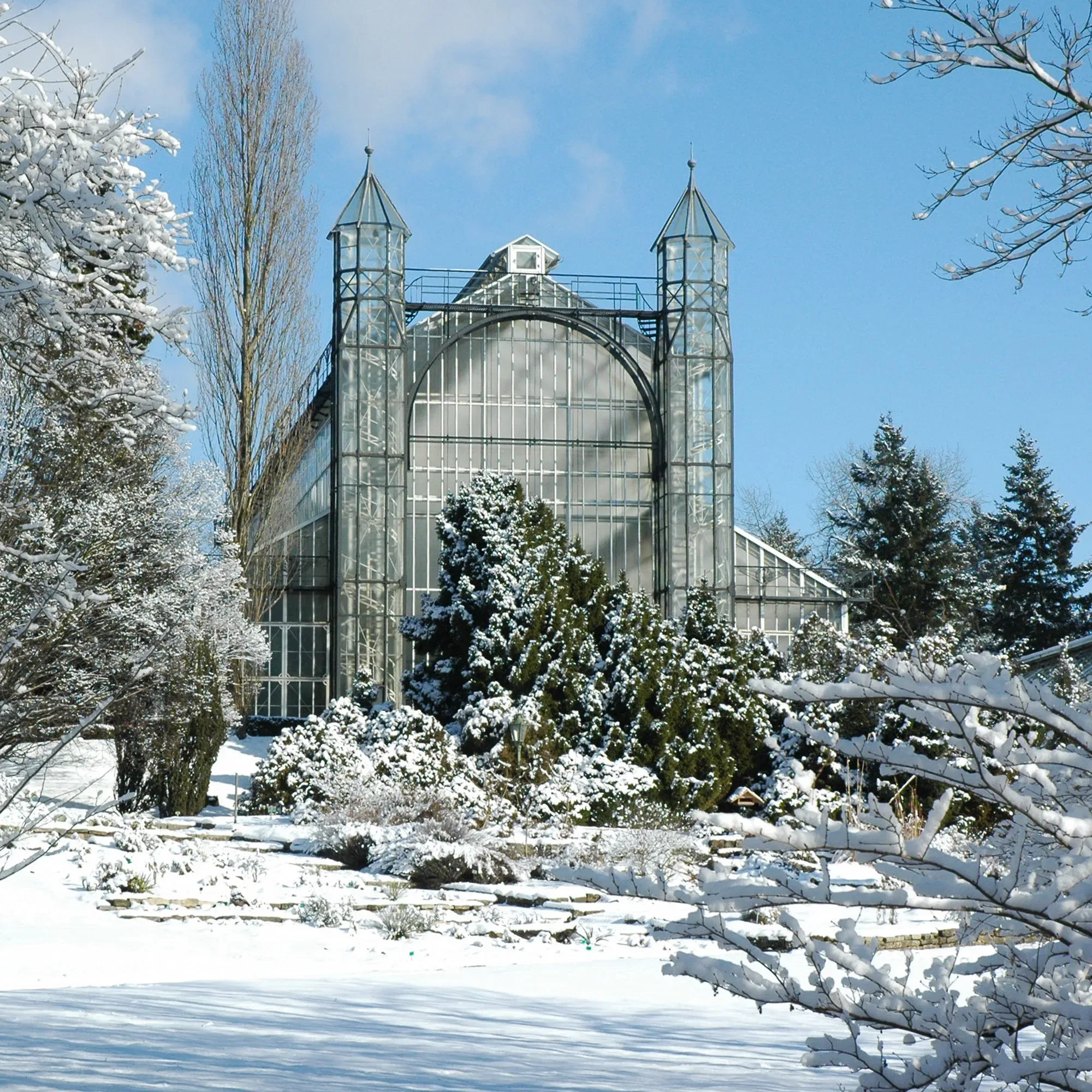 Das große, imposante Gewächshaus des Botanischen Gartens steht inmitten einer verschneiten Landschaft, umgeben von schneebedeckten Bäumen und Sträuchern. Der klare blaue Himmel lässt den Wintertag friedlich erscheinen.