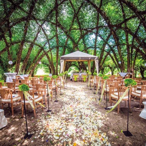 Eine romantische Hochzeitszeremonie im Freien unter einem natürlichen Weidendom. Der Mittelgang ist mit Blütenblättern bedeckt, und entlang des Weges stehen Holzstühle und Blumenarrangements, die zu einem geschmückten Pavillon führen.