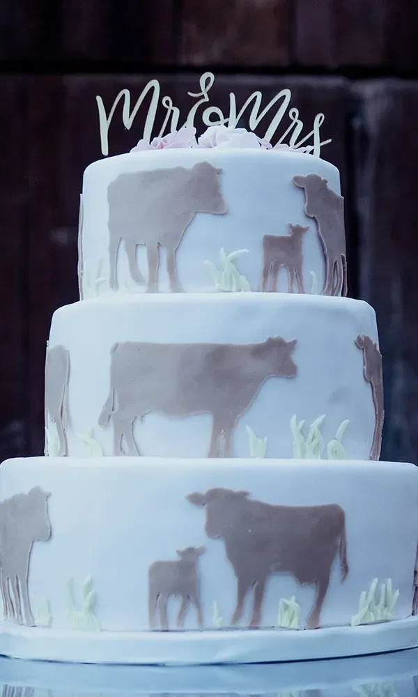 Eine dreistöckige Hochzeitstorte mit Kuh- und Kalb-Motiven, verziert mit einer 'Mr & Mrs'-Tortenspitze. Die Torte ist in dezenten Braun- und Cremetönen gehalten und hat eine rustikale Anmutung.
