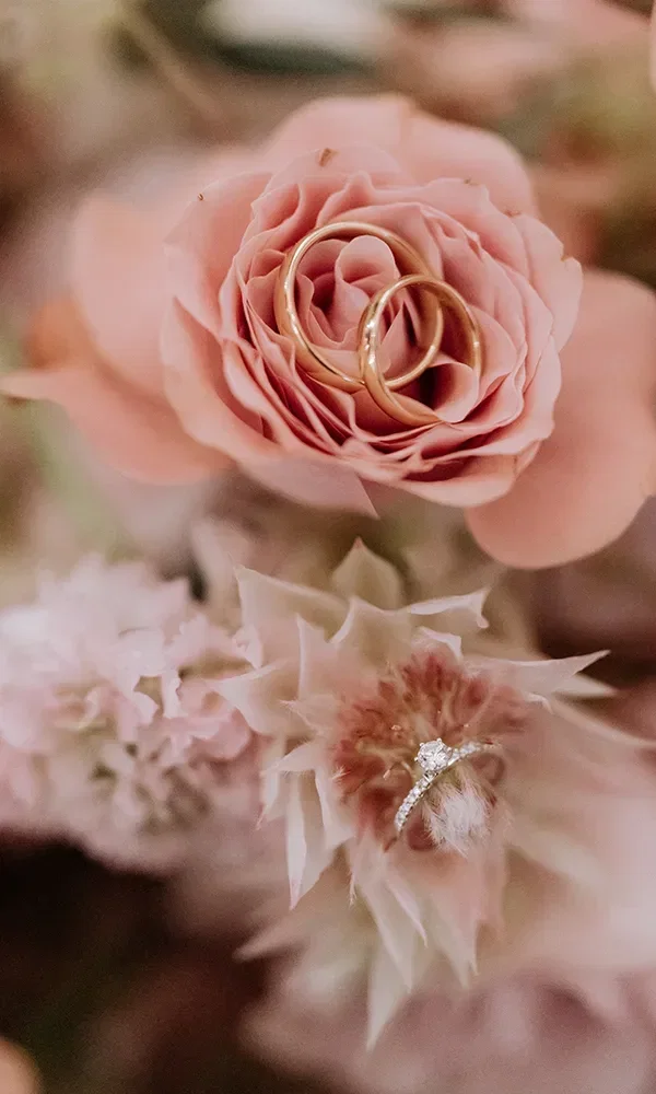 Eheringe drapiert auf einem Rosenstrauß.
