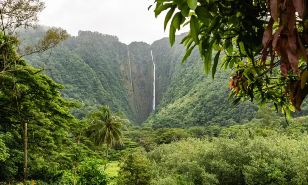 Üppige Vegetation rahmt einen schmalen, steilen Wasserfall ein, der in ein verstecktes Tal hinabfällt.