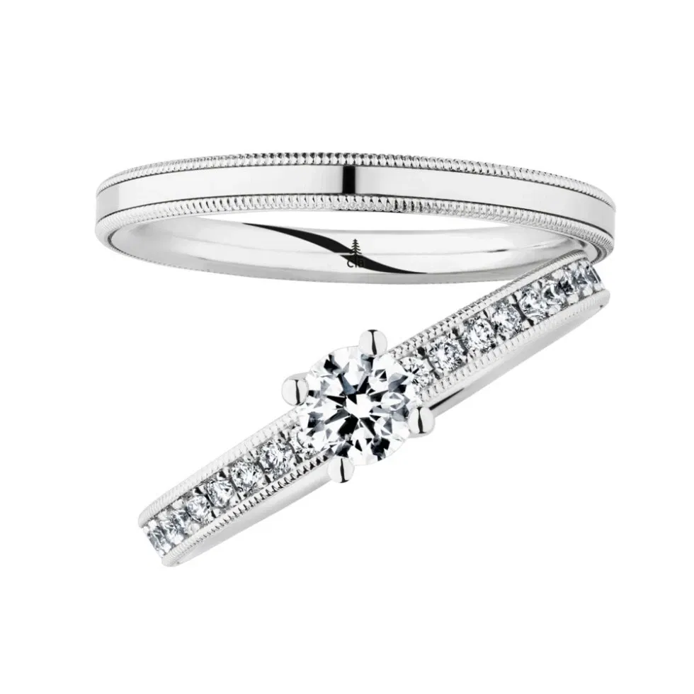 Klassisch inspiriertes Ringpaar in Weißgold mit filigranem Randdesign und funkelndem Solitär-Diamant im Mittelpunkt.