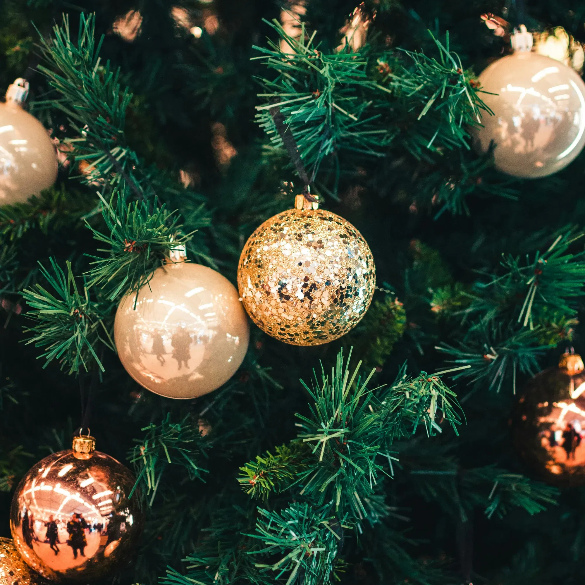 Goldene und champagnerfarbene Christbaumkugeln hängen an einem festlich geschmückten Tannenbaum.