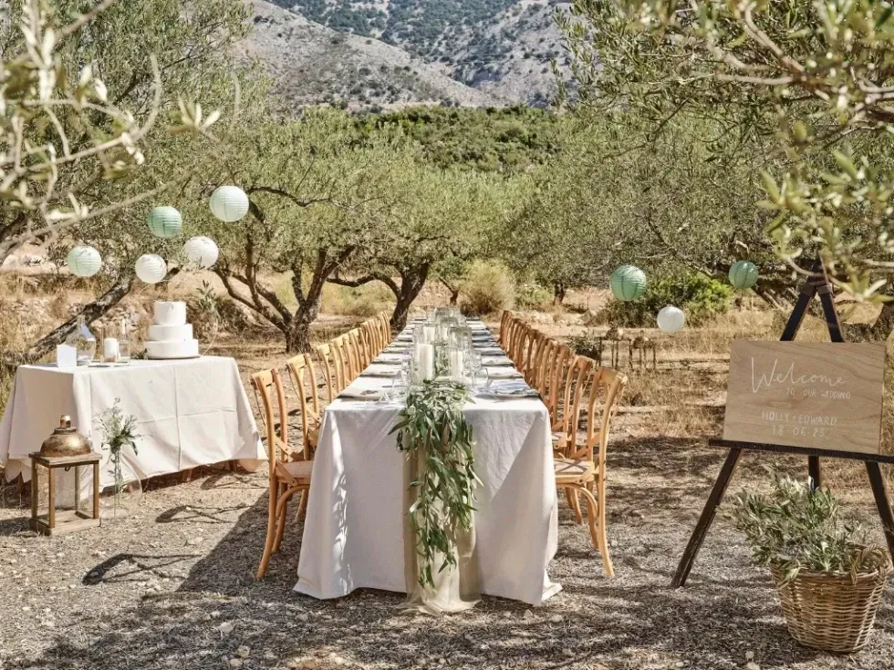 Lange gedeckte Dinnertafel im Olivenhain mit Laternen und Papierlampions