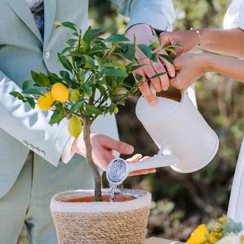Das Brautpaar gießt gemeinsam den Hochzeitsbaum mit einer Gießkanne und zelebriert damit ein emotionales Ritual für Liebe, Wachstum und den gemeinsamen Lebensweg.