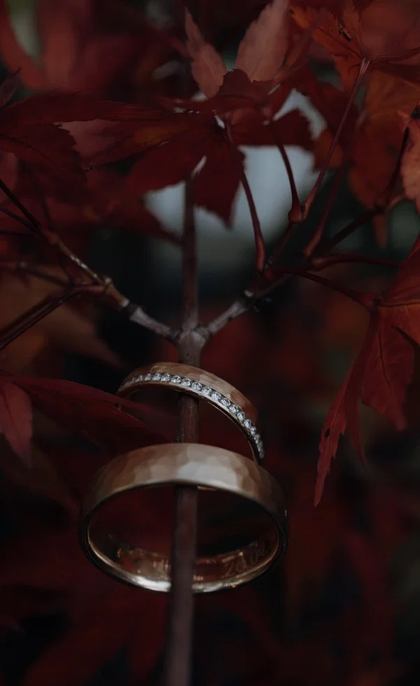 Zwei goldene Eheringe hängen an einem Zweig zwischen tiefroten Herbstblättern und wirken stimmungsvoll in der dunklen Szenerie